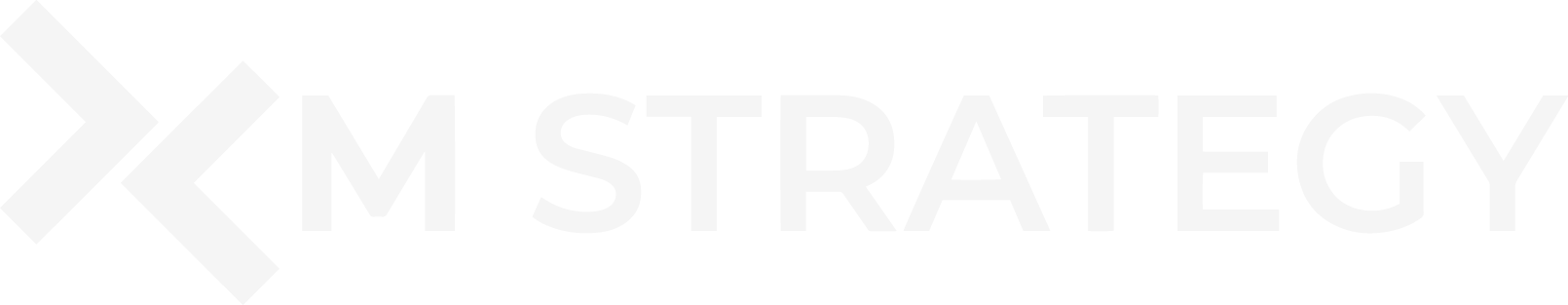 XM Strategy